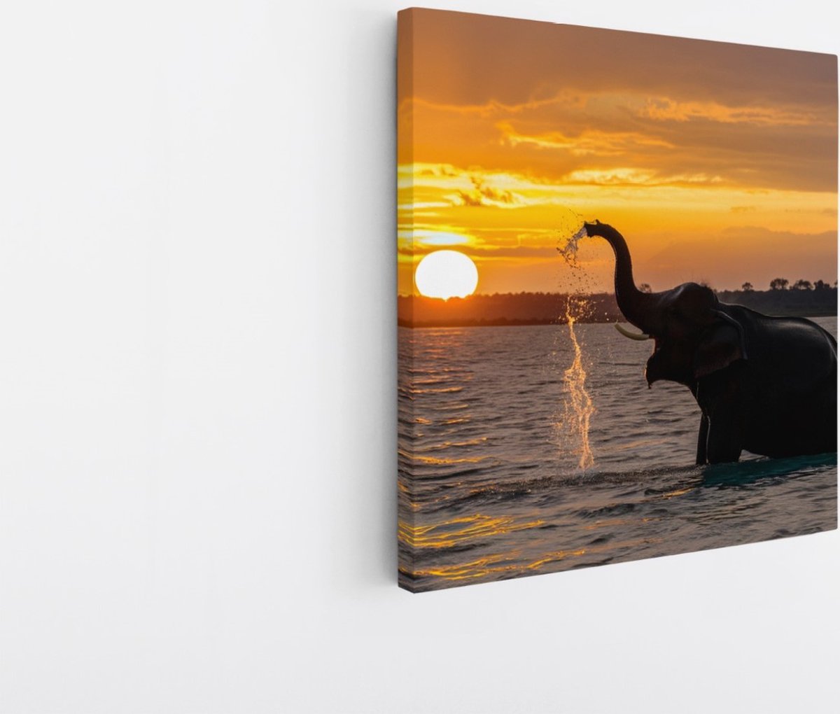 Saammp Canvas Schilderij - Spelende Olifant in het water - Dieren - 40x40 - Foto op canvas - Wanddecoratie - muurdecoratie Woonkamer - Slaapkamer decoratie - Canvas Print Multicolor