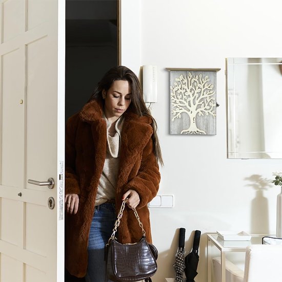 harupink Sleutelkast, houten sleutelbox met 6 sleutelhaken, decoratieve sleutelkast met droogbloemen, sleutelhouder, wandhouder, sleutelhouder voor entree, hal, kantoor (A