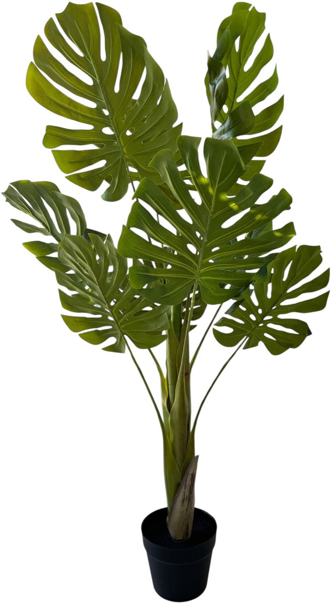 HEM Monstera Kunstplant 110 cm – 9 Bladeren + Nieuw Uitloper – Zwarte Pot Ø17 cm – Groene Kamerplant – Onderhoudsvrij