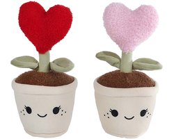 foto van Take Me Home Knuffel Plant Pluche - Hart, 27cm