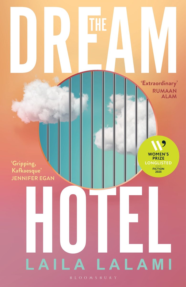 Omslag van The Dream Hotel