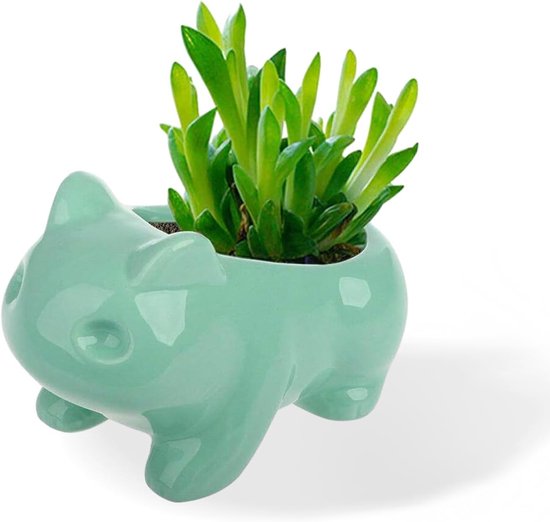 Joli pot de fleurs en céramique en forme de grenouille pour l'intérieur - mini vase pour cactus et plantes succulentes