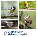 Collage van vier vogels: koolmees, roodborstje, huismus en kuifkoekoek. Tekst 'Geschikt voor kleine tuinvogels!'.