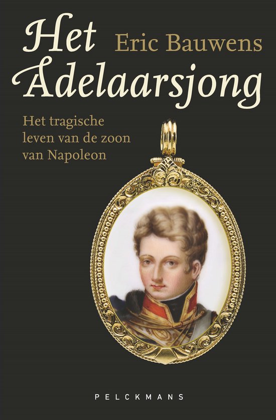 Het adelaarsjong - cover