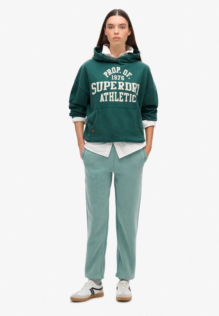 Superdry Essential Logo joggingbroek met enkelboorden Dames Broeken Blauw