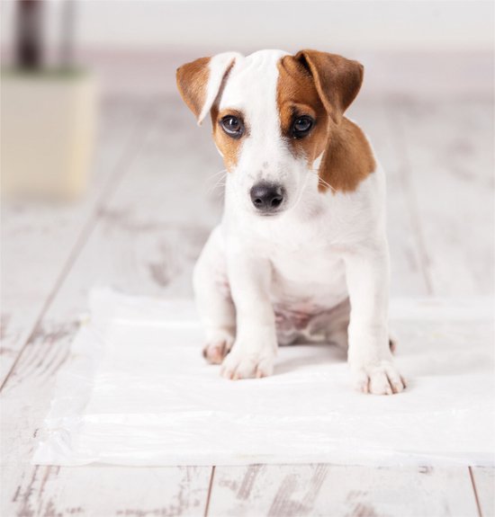 Aidapt pads incontinence matériel d'incontinence jetable - taille 60x60cm