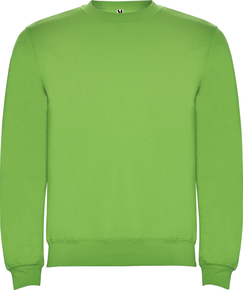 Oasis Groen kinder unisex OEKO TEX sweater Classica merk Roly 4 jaar 98-104