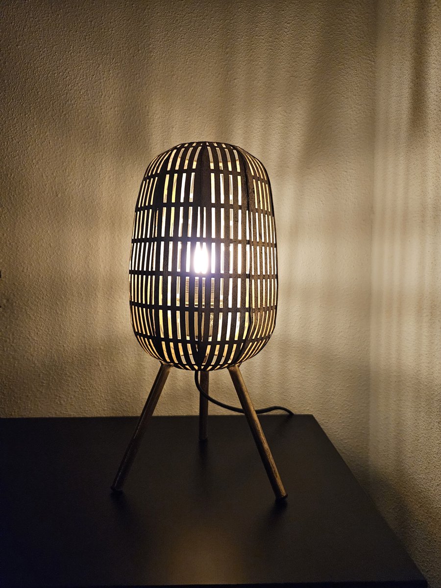 Light & Living Vaas LORITO - 30x16x25cm - Groen