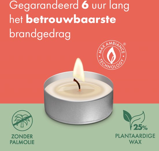 Bolsius - Grootverpakking Waxinelichtjes - 240 Stuks - Theelichtjes - Wit - 6 branduren - Duurzamere Theelichten