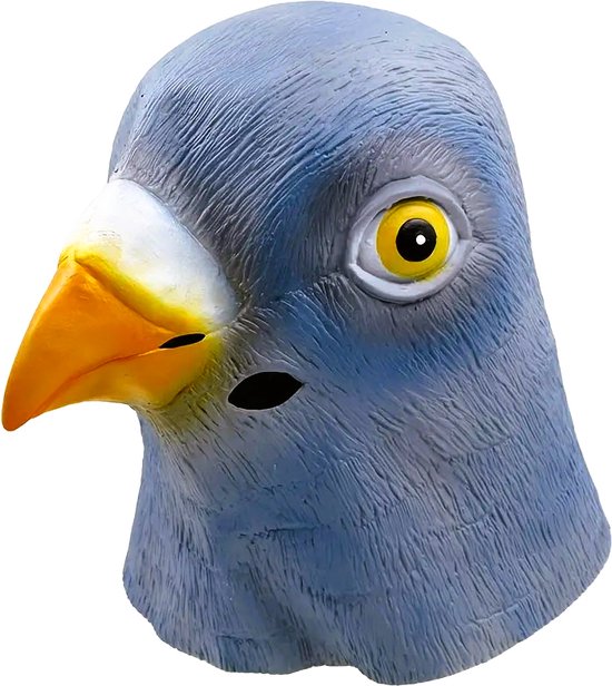 Foto: 