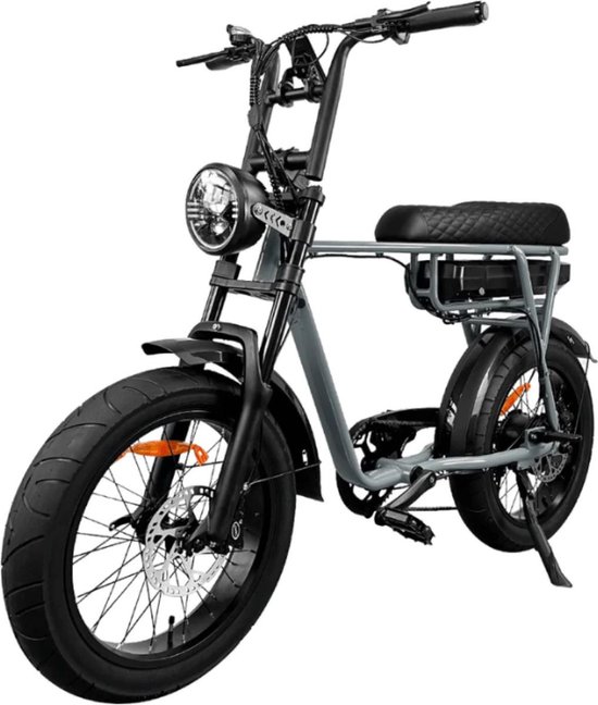 EB2 Elektrische Fatbike -...