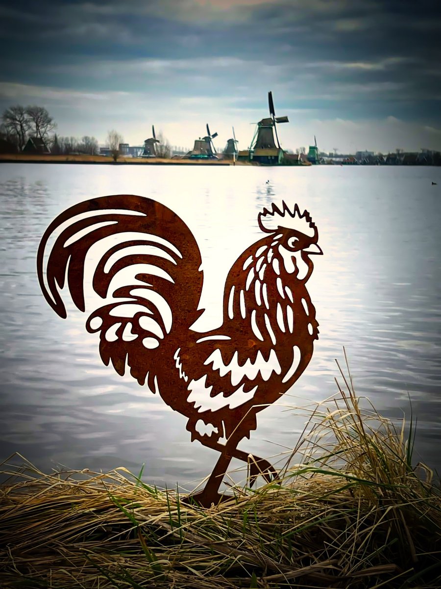 Metalendier - Tuinbeeld -Haan - Cortenstaal - NL Fabrikaat