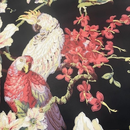 Fond d'écran perroquets animaux oiseaux de la jungle Ashford House