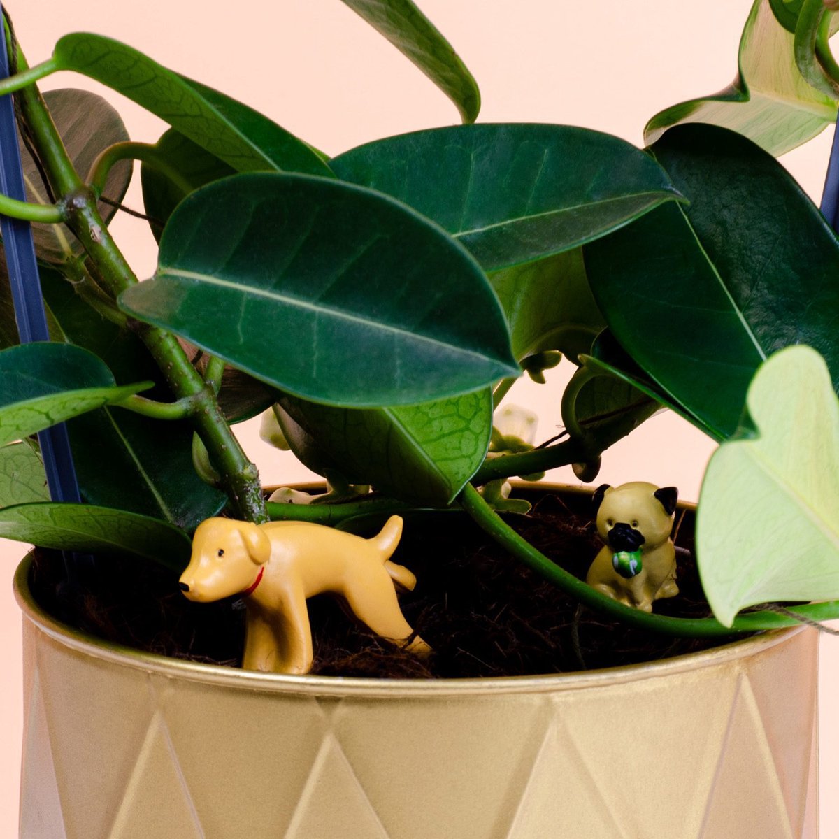 Gift Republic Bloempot Decoratie - Honden (set van 4)