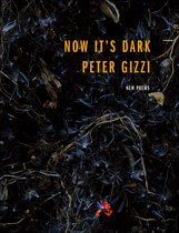 Wesleyan Poetry Series - Now It's Dark