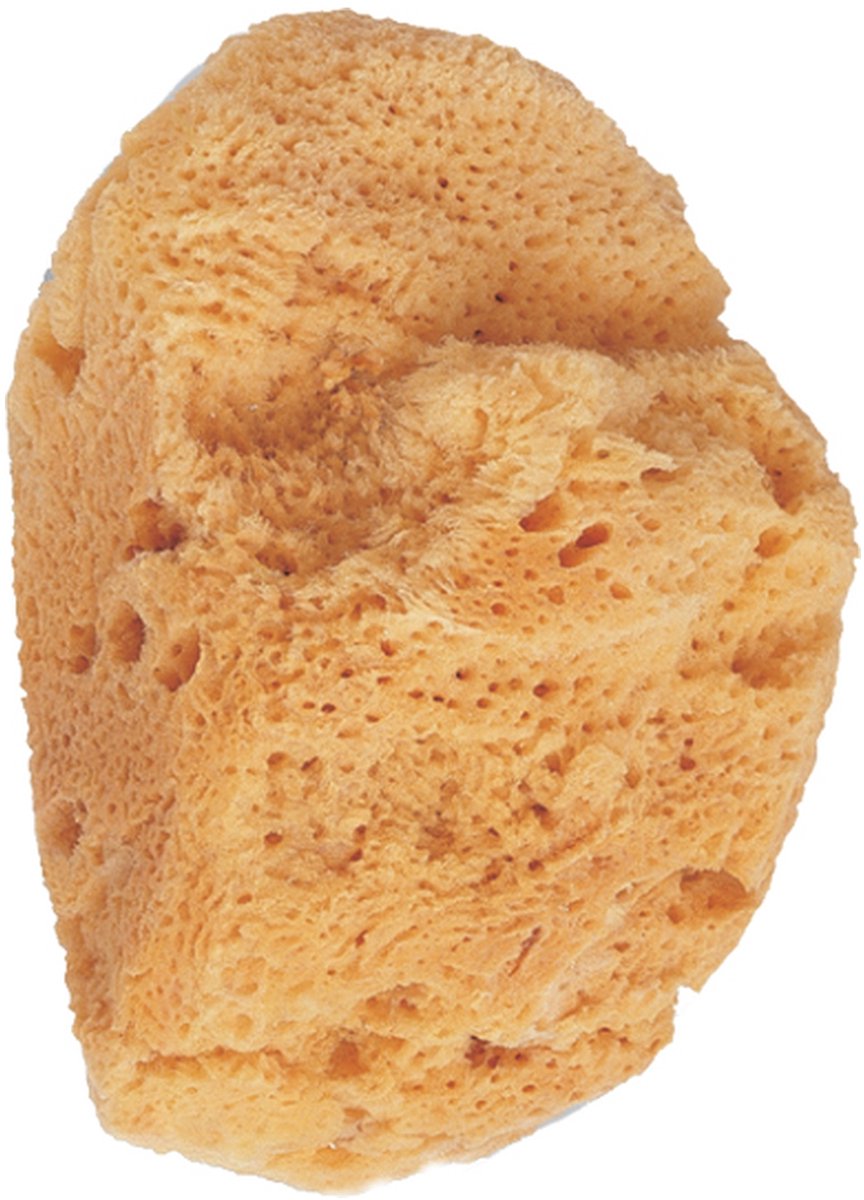 Goedkoopste spons Beter 116622277