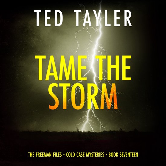 Tame the Storm - cover