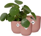 Elho Vibes Fold Rond - Bloempotten voor Binnen - 100% Gerecycled Plastic - Set van 3 - Ø 14, 16, 18 cm - Delicaat roze