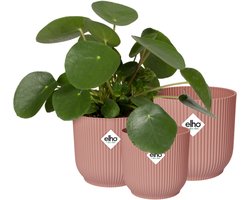 Elho Vibes Fold Rond - Bloempotten voor Binnen - 100% Gerecycled Plastic - Set van 3 - Ø 14, 16, 18 cm - Delicaat roze