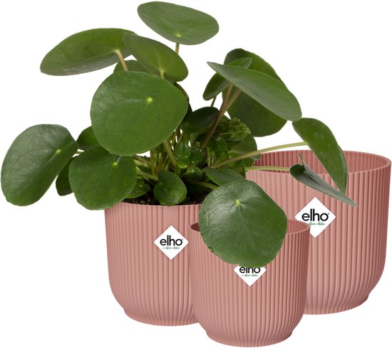 Elho Vibes Fold Rond - Bloempotten voor Binnen - 100% Gerecycled Plastic - Set van 3 - Ø 14, 16, 18 cm - Delicaat roze