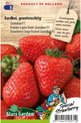 Sluis Garden - Aardbei Grandian F1