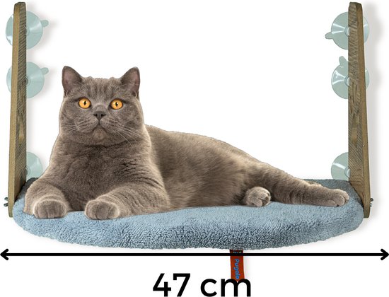 Grijze Britse Korthaar kat op een lichtblauwe hangmat met houten steunen en zuignappen.