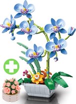 Jaki - Bloemenboeket orchidee | Botanical bloemenpracht orchideeën | Classic Creator STEM speelgoed bonsai bloemen mega bouwpakket compatibel met bekende merken | Icons modelbouw volwassenen | Kunstbloemen | 679 bloks moederdag cadeau