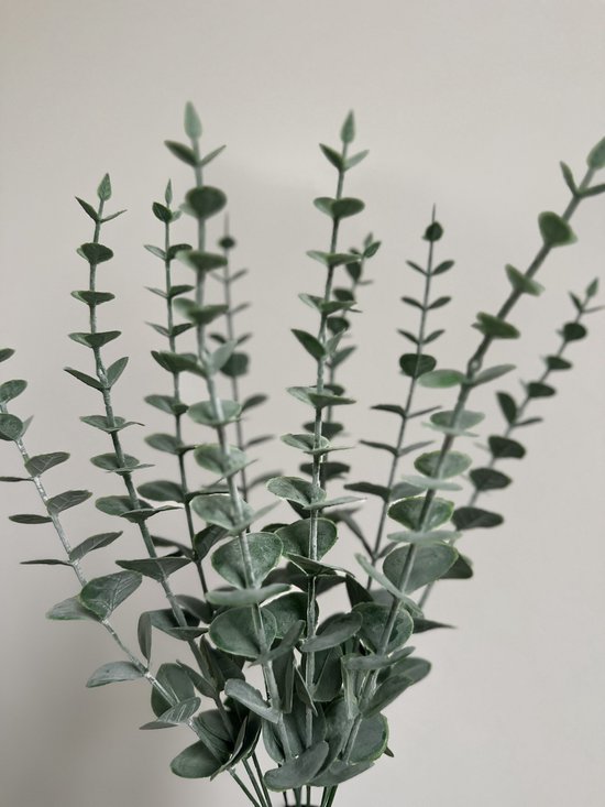 Foto: Eucalyptus tak groen siertak eucalyptus nep tak kantoor plant kunstplanten kunst eucalyptus 10stks decoratie tak decoratie plant