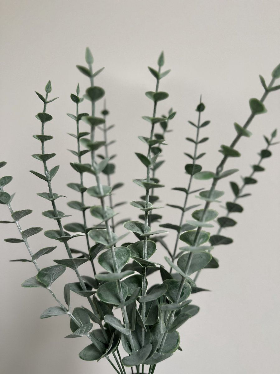 Eucalyptus Tak groen - Siertak - Eucalyptus nep tak - Kantoor plant - Kunstplanten - Kunst eucalyptus 10stks - Decoratie tak - Decoratie plant