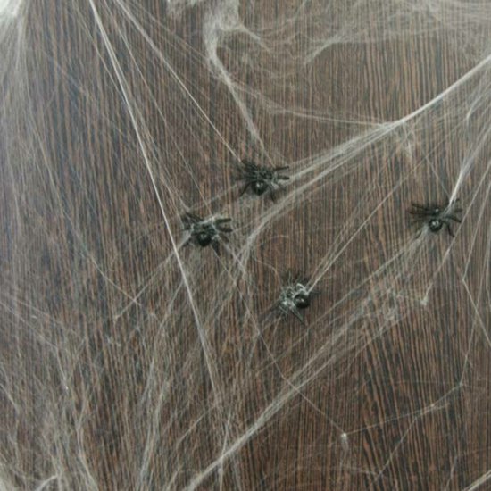 Fond en bois brun avec des toiles d'araignée fines et fausses et quatre araignées noires en plastique.