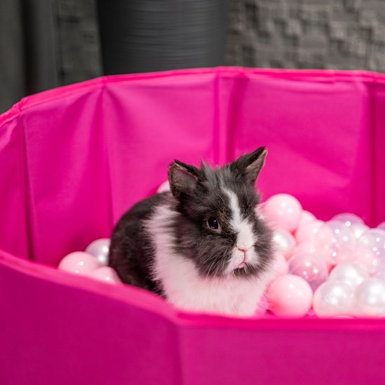 Kerstbal Hond en Kat in Bad | Alles in Wonderland