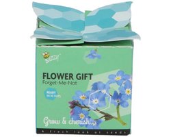Buzzy - Grow gifts kweekset flower gift vergeet-me-niet