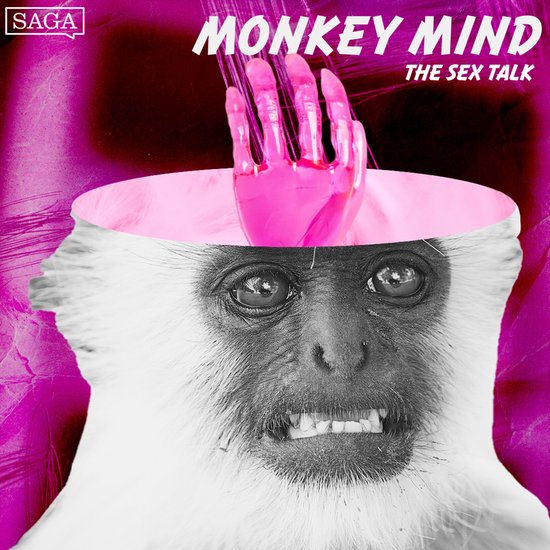 The Sex Talk - cover