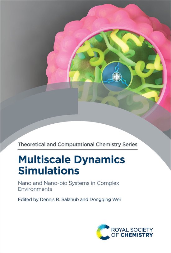 Theoretical and Computational Chemistry Series 22 - Multisca ... - cover