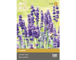 Lavendel Zaden – Paarse Bloemen – Geurige Plant – Bijvriendelijk – Bloemzaden Tuin | Tuin de Bruijn - ca. 700 zaden