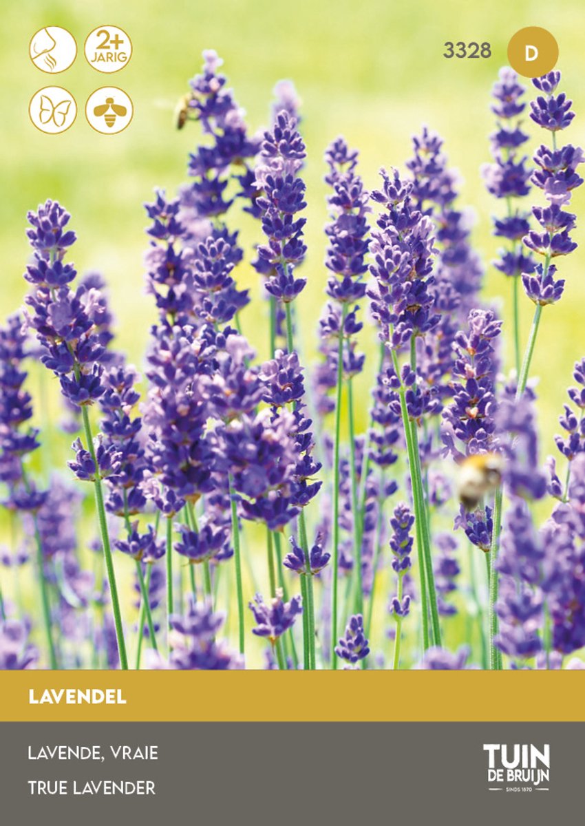 Lavendel Zaden – Paarse Bloemen – Geurige Plant – Bijvriendelijk – Bloemzaden Tuin | Tuin de Bruijn - ca. 700 zaden