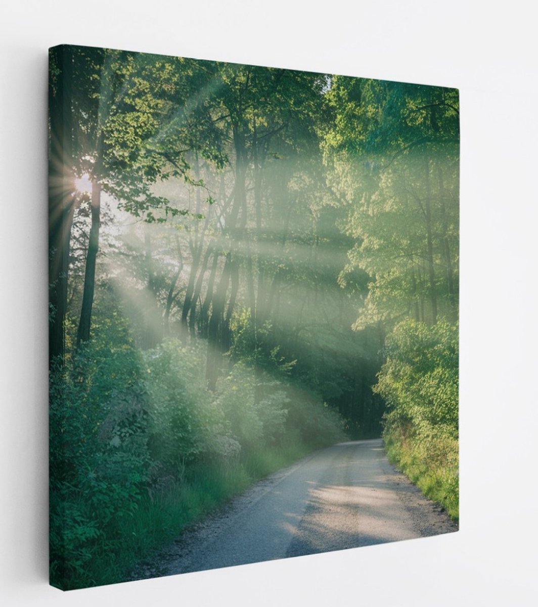 Saammp Canvas Schilderij - bos - Pad met zonsondergang - Landschap - Natuur - 20x20 - Foto op canvas - Wanddecoratie - Muurdecoratie Woonkamer - Slaapkamer decoratie - Canvas Print Multicolor