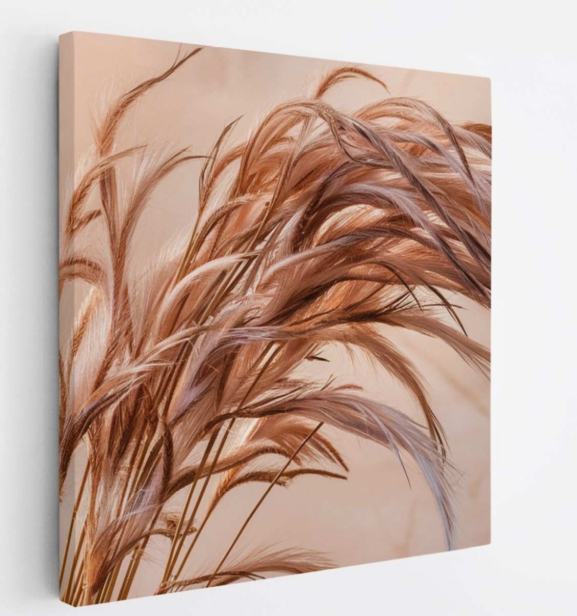 Saammp Canvas Schilderij - Gedroogd Gras in Detail - Natuur - Abstract - 100x100 - Foto op canvas - Wanddecoratie - Muurdecoratie Woonkamer - Kantoor Decoratie Multicolor