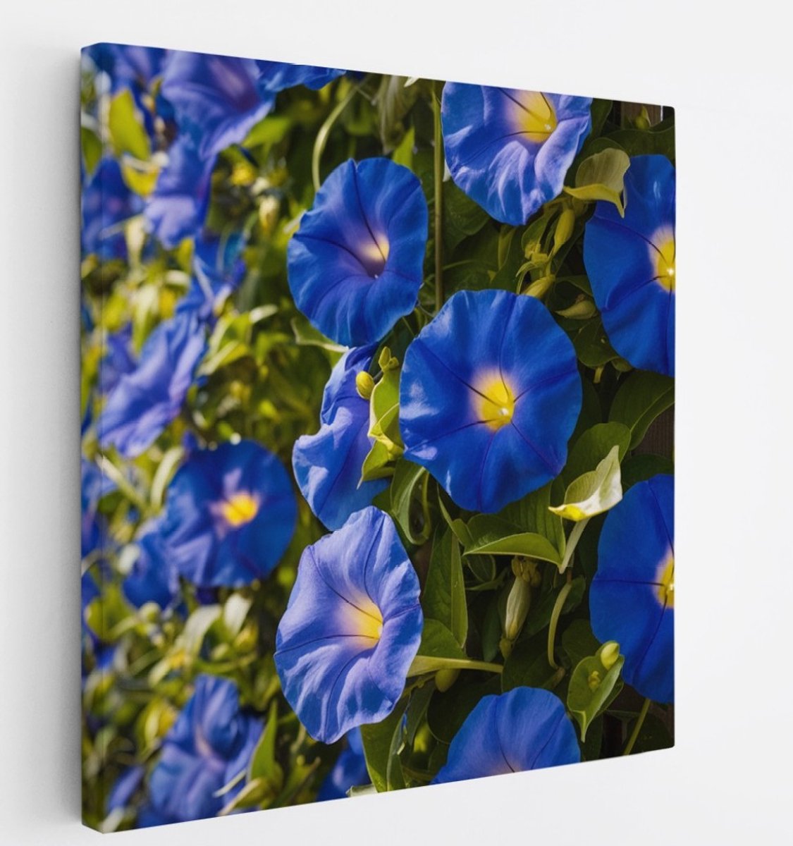 Saammp Canvas Schilderij - Blauwe Winde Bloemen - Natuur - Abstract - 100x100 - Foto op canvas - Wanddecoratie - Muurdecoratie Woonkamer - Kantoor Decoratie Multicolor