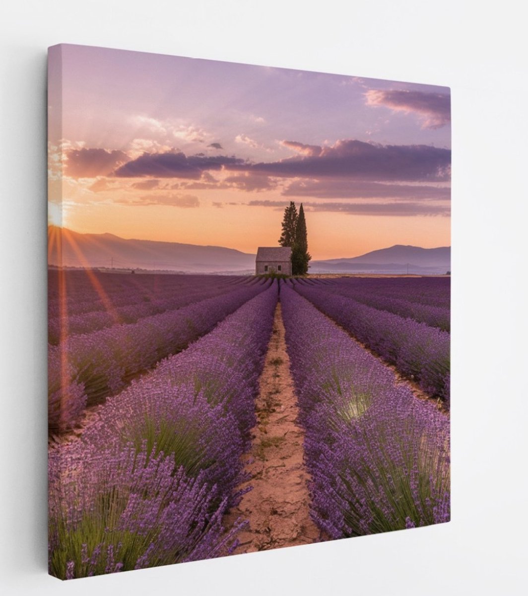 Saammp Canvas Schilderij - Groot lavendelveld met huis - Bloemen - Landschap - Natuur - 100x100 - Foto op canvas - Wanddecoratie - Muurdecoratie Woonkamer - Slaapkamer decoratie - Canvas Print Multicolor