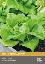 Laitue Sylvestre du Jardin de Bruijn®