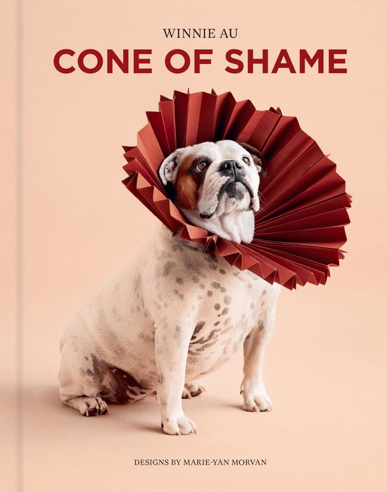 Cone of Shame - cover
