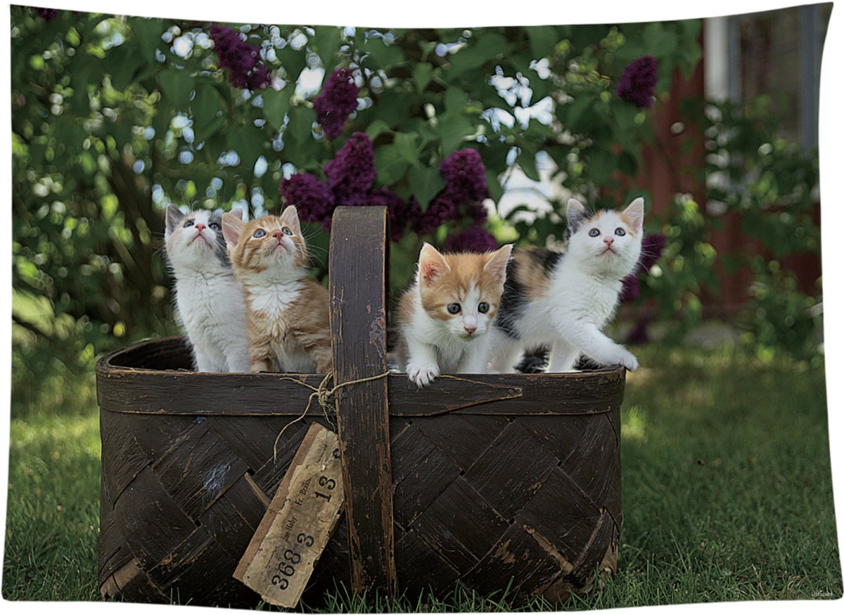 Ulticool Wandkleed 200x150 cm – Kat Poezenmand Natuur Bos – Met Bevestigingspinnen - voor Binnen / Buiten - Tuinposter Wandtapijt Posters - Kitten Poes Katten Accessoires