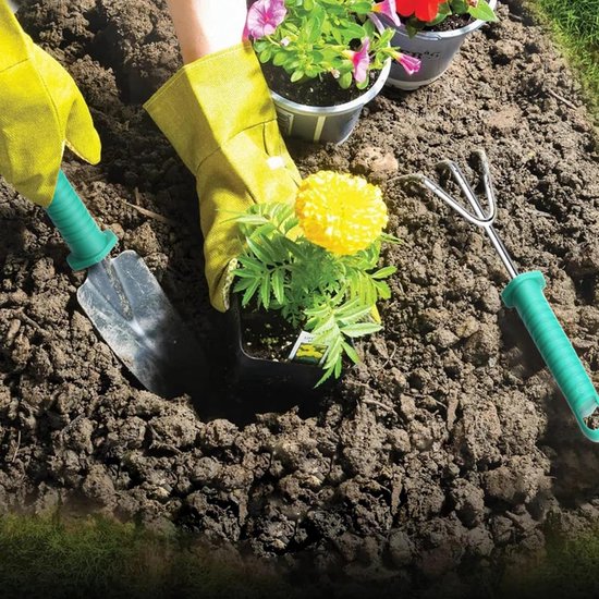 10-delige set tuingereedschap met troffel, verplantmachine en hark - Tuinschaar, schoppen en waterspuitfles in groen - Praktische tuingereedschapsset van Merkloos	 — afbeelding 3