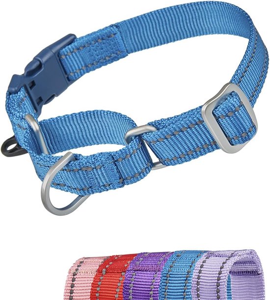 Collier Martingale réfléchissant pour Chiens - Collier de dressage anti-fuite et anti-traction avec boucle de Sécurité à dégagement Quick - Idéal pour les chiens à petite tête - Confortable et durable - Groot Blauw