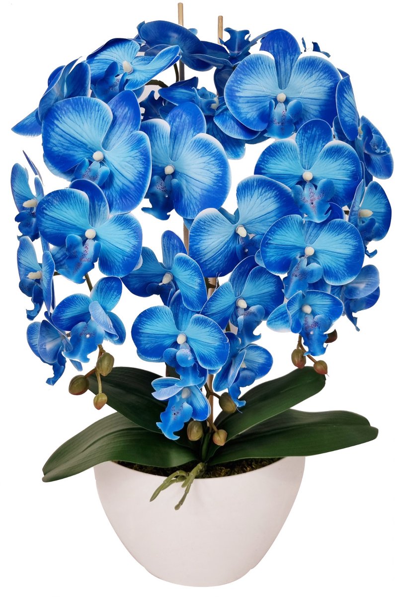 Damich - Kunst Orchidee in Bloempot - Blauw met witte pot - 60cm