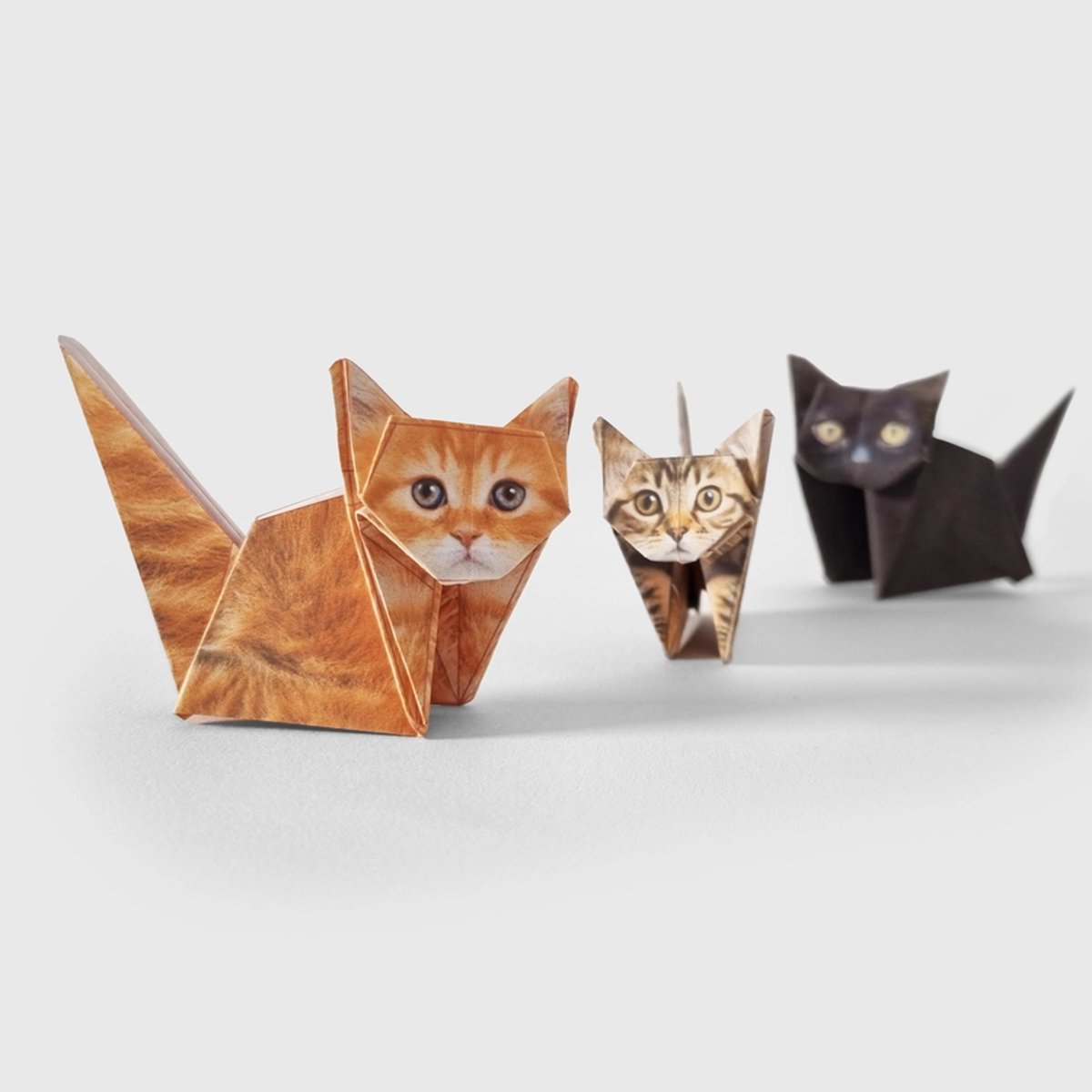 Poëzieplaatjes - 6 vellen - Katten - Vlinders - Borderijdieren - uilen