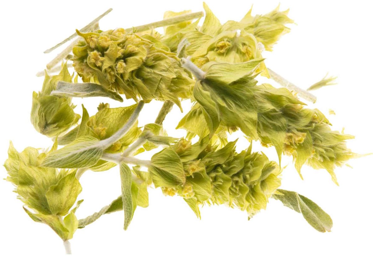 Griekse Bergthee  (Bio) 100 gr.