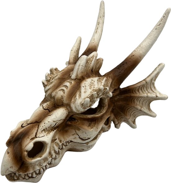 Draken Schedel Fantasy DeLuxe