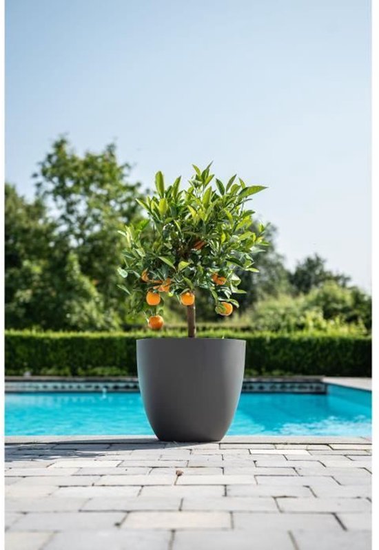 Aqua Toscana bloembak van kunststof, inclusief irrigatie en waterniveau-indicator, kleur: antraciet, lengte: 60 cm